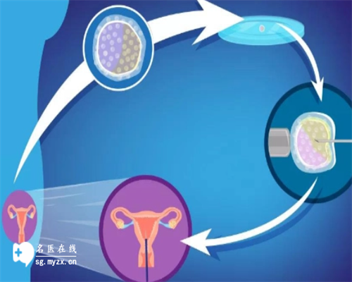 上海怎么找借腹生子中介,上海供卵试管价格多少钱,【上海代孕基地,孕育奇迹