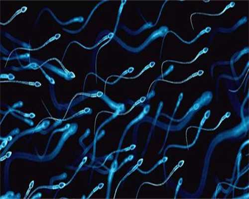 上海做代怀费用，上海代怀生子试管机构新排名,附2026借卵生男孩费用一览！