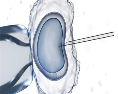 上海助孕多少钱,三代试管推荐上海天使助孕,上海天使助孕快