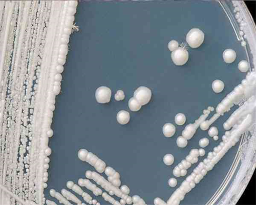 试管婴儿助孕怎么调节好激素内分泌~合法助孕套餐