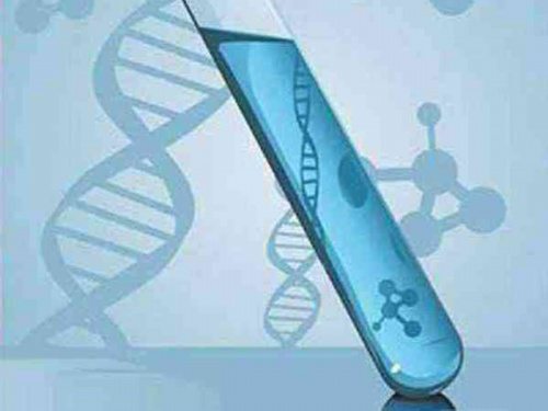 上海助孕宝宝长牙吃什么?不同阶段饮食均不一