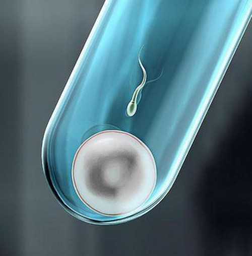 上海有没有医院代孕,试管前一天可以吃油焖大虾吗-上海有供卵试管费用-上海供