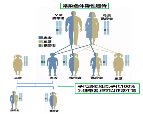 上海私人供卵机构包生男孩可信吗？,上海供卵试管怎么样