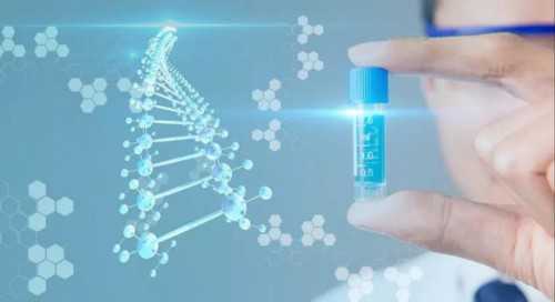 上海代生,上海全国试管助孕公司排名第一！你知道是哪家吗？