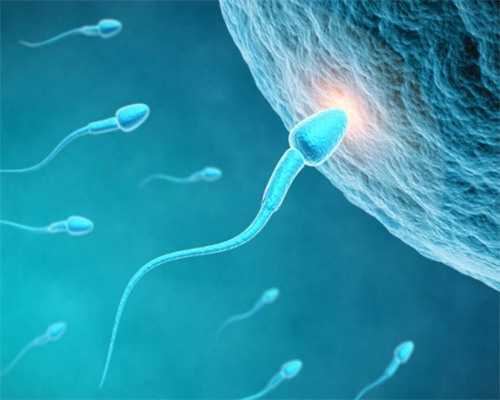 上海捐卵试管有无风险,上海捐卵多少钱-代孕公司服务好