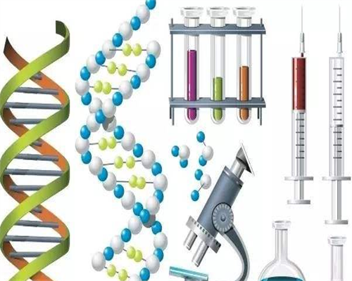上海做试管助孕 上海试管助孕带您实现生育梦
