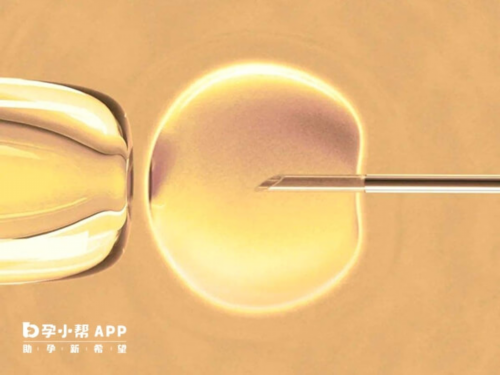 上海捐卵大学生，乌克兰供卵试管婴儿安全吗,上海捐卵供试管婴儿