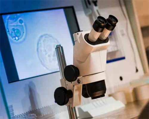 上海供卵试管的中介,上海仁济-供卵过程-代生费用问题