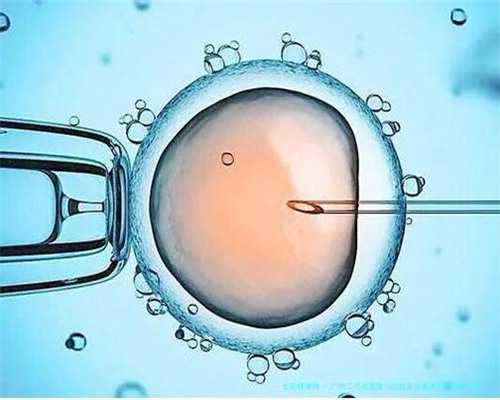 上海捐卵多少钱,上海捐卵试管有无风险_哪些代孕医院