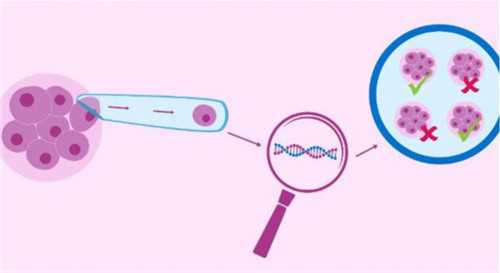 上海高龄供卵,上海仁济医院可以做第三代试管吗？需要多少钱？-国产hpv价格是