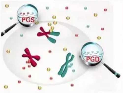 上海助孕宝宝视力是怎么发育的？如何训练上海助孕宝宝的视力发育？