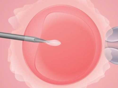 上海助孕宝宝起红疙瘩是什么原因上海助孕宝宝洗完澡脸上起红疙瘩