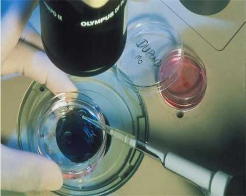 上海捐卵多少钱,上海捐卵试管有无风险-借卵正规医院