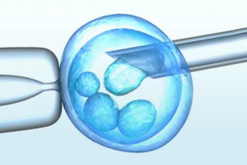 上海九院二代试管（上海九院试管成功率高吗）