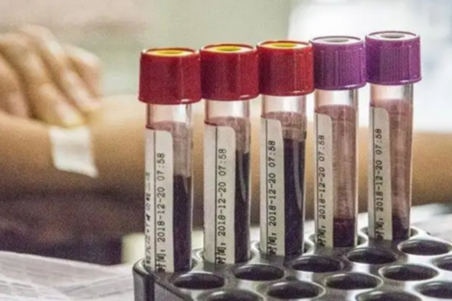 上海代生全包价,供卵试管代生,上海地区供卵试管