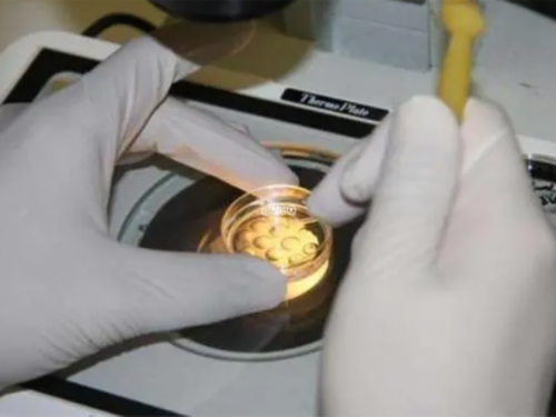 上海代怀联系,上海试管婴儿在线咨询医生_锦江妇幼试管医院哪些医生排名比较