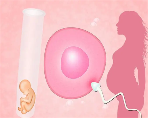 上海代怀生儿子，杭州捐卵供卵代怀,上海捐卵供卵代怀