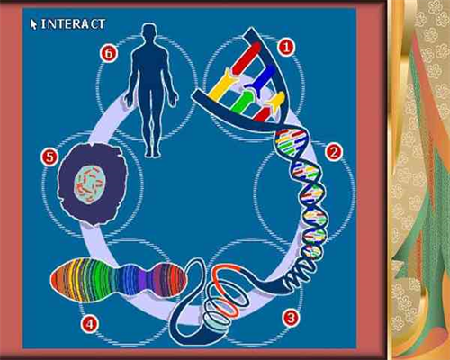 上海最可靠代怀,上海明珠医院介绍中医教你吃什么食物能够滋养五脏