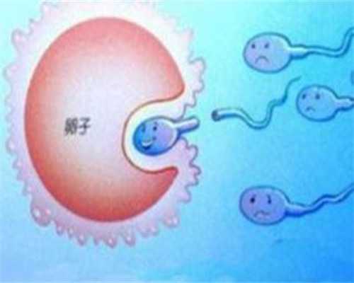 上海试管婴儿选择性别的医院~试管代怀孕