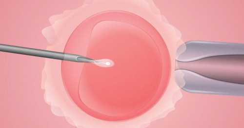 上海哪里找代生，供卵为什么成功率高(上海代生成功率高)