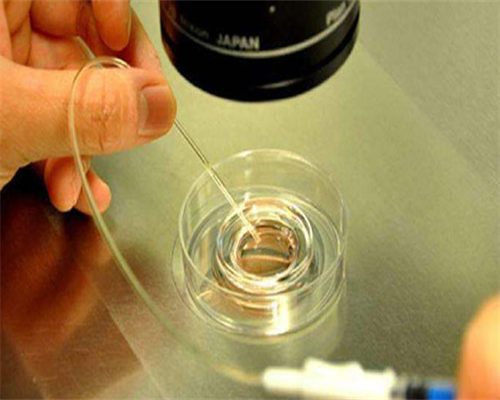 上海借卵去哪做,上海市第一人民医院三代试管能选男女吗？附详细成功率_上海