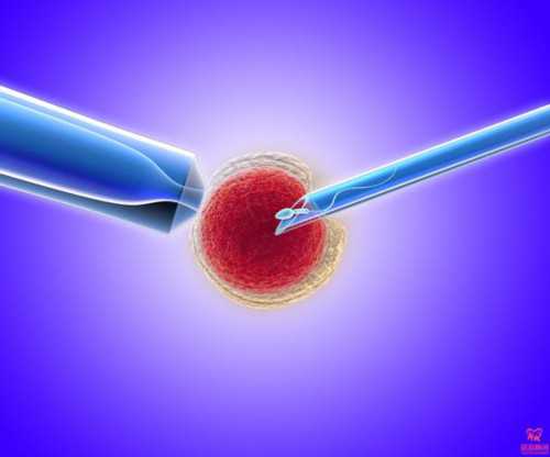 同房后几天可以测出怀孕,同房后怀孕的几率有多大~试管供卵自怀