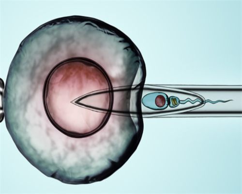 不用中介,自己去泰国试管婴儿多少钱?-上海供卵试管中心地址_上海供卵试管公