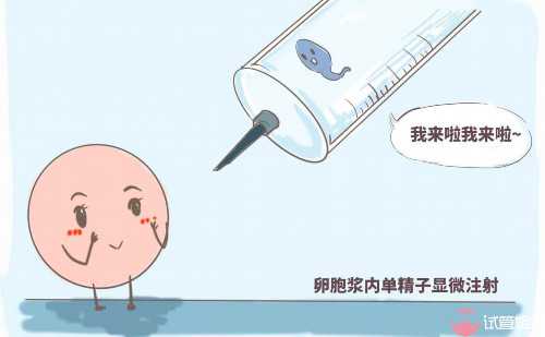 上海第一妇婴保健院试管婴儿怎么样?可以申请供精吗?-上海供卵试管生子多