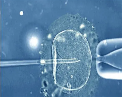 上海代生电话多少,试管婴儿90%不是自己亲生的，这种说法可信吗？_上海供卵试