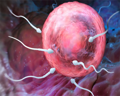 上海供卵自怀,做试管婴儿时，打针吃药对身体有多大伤害？_西安能做供卵吗