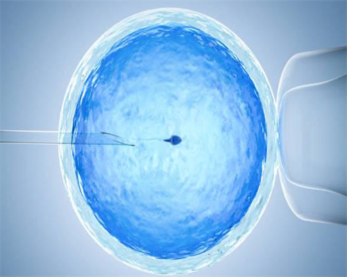 上海代生婴儿多少钱,上海普陀月子中心大概什么价格 坐月子可以吃什么水果