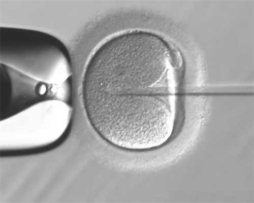 [上海妇幼医院]上海妇幼医院中排名前十名的有哪些