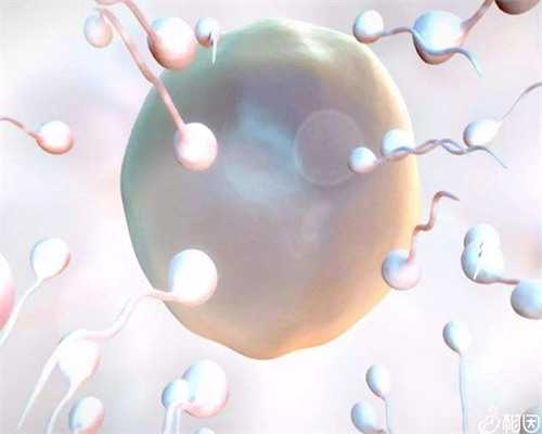 上海试管婴儿是什么流程有哪些注意事项-上海供卵试管公司有哪些_试管乐宝多