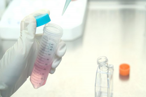 俄罗斯试管婴儿与年龄关系35岁后成功率下降_上海供卵试管公司有哪些-上海私