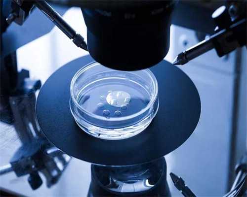 上海代生公司地址,试管婴儿是在管子里长大的小孩吗?_上海供卵试管公司有哪