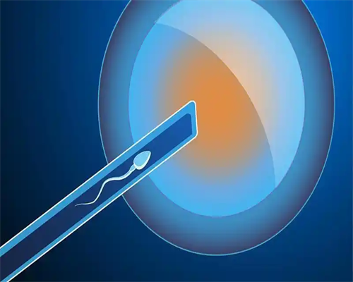 上海代生价格表,揭阳婴儿捐卵供卵生男孩上海代生