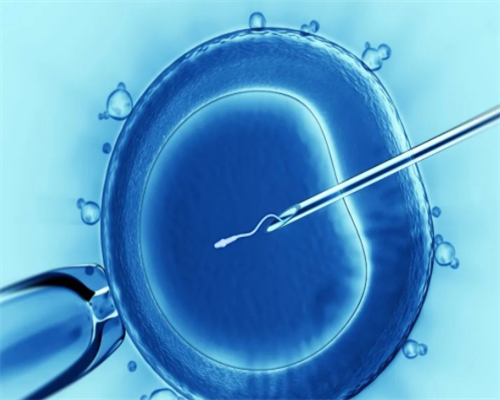 上海助孕宝宝发烧怎么办