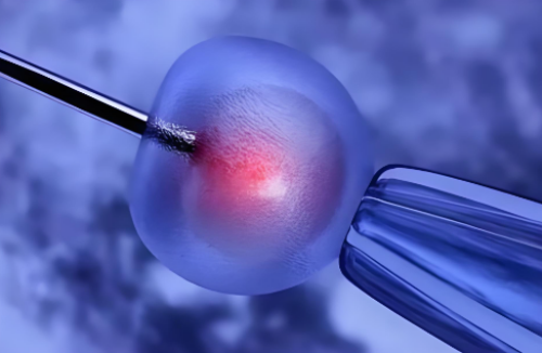 上海助孕宝宝几度算发烧