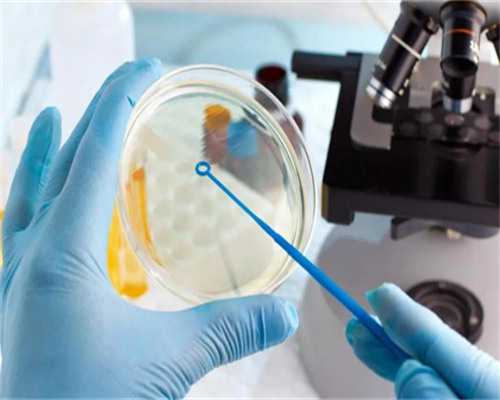 上海人工助孕成功率、上海人工助孕成功率高吗