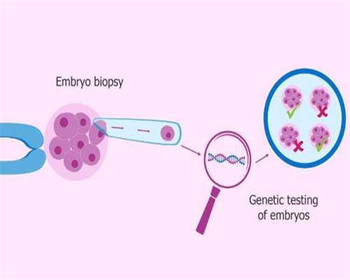 上海有助孕妈妈,上海供卵联系优找坤和助孕,上海供卵联系先来坤