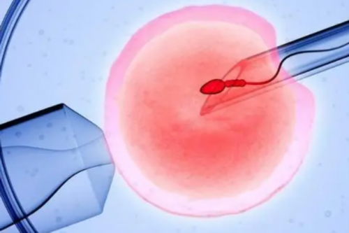 上海三代试管婴儿医院排名出炉，上海试管*殖医院位居榜首