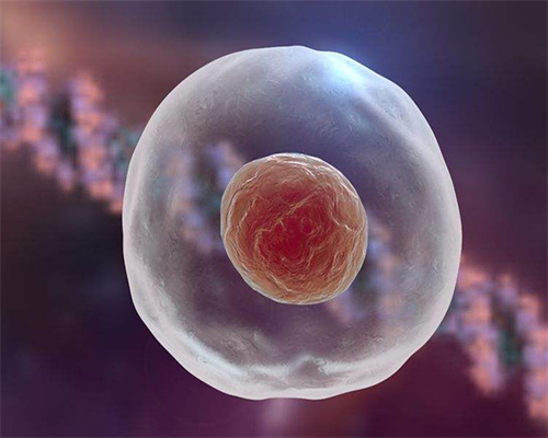 怎么才能怀上健康上海助孕宝宝?