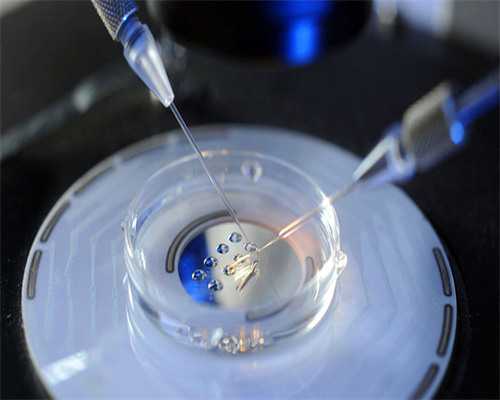 上海仁济医院供卵流程,上海供卵试管多少钱?_代生地址