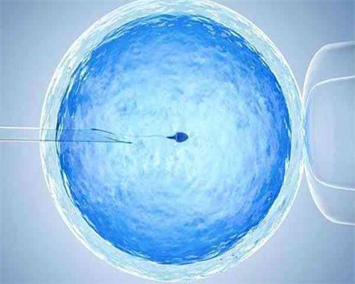 上海捐卵多少钱,上海捐卵试管有无风险_代怀价格6万