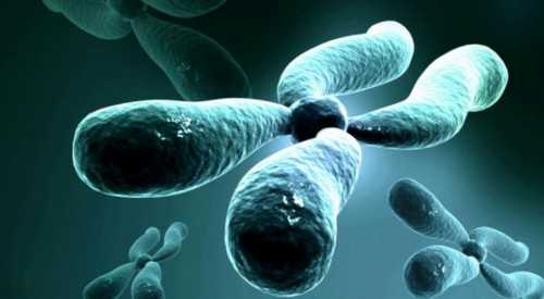 上海供卵的条件，上海供卵第三代试管婴儿要多长时间？上海供卵第三代试管婴