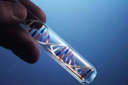 2026年上海曙光医院试管婴儿好不好？收费标准是多少？-上海供卵试管公司有哪