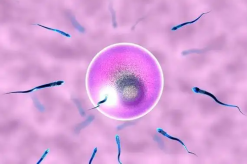 俄罗斯买精子做试管婴儿要多少钱？18万够不够？-上海供卵试管生子多少钱-上