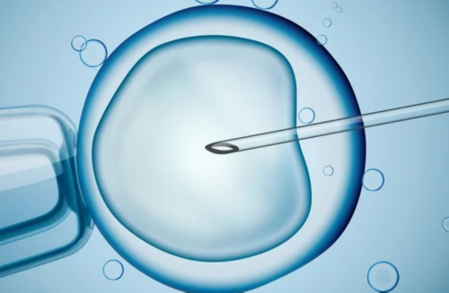 上海代妈代怀价格,【上海搞供卵试管的中介】13号排卵，宫颈糜烂二度，依然一