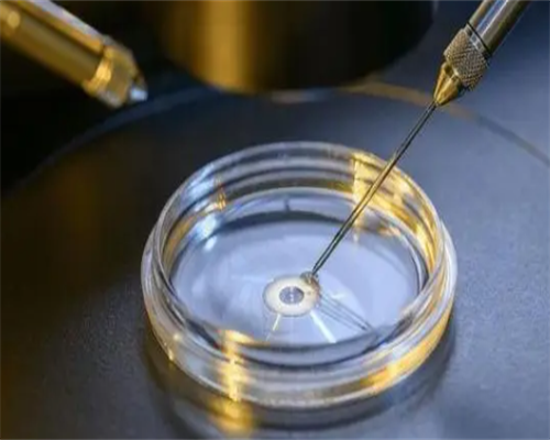 上海助孕宝宝蛀牙会导致面部畸形?如何预防上海助孕宝宝蛀牙