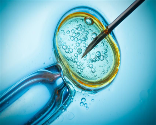 上海代怀中心专家,上海瑞金医院做试管婴儿成功率是多少受哪些因素影响